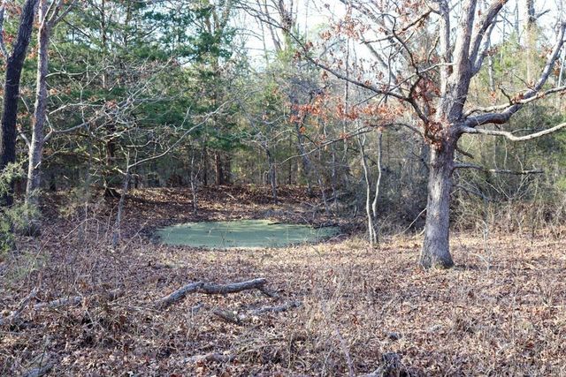 9238 Elizabeth Road, Viola, AR 72583