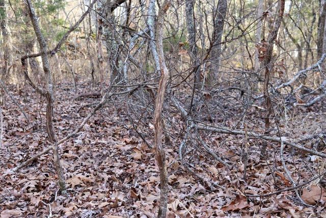 9238 Elizabeth Road, Viola, AR 72583