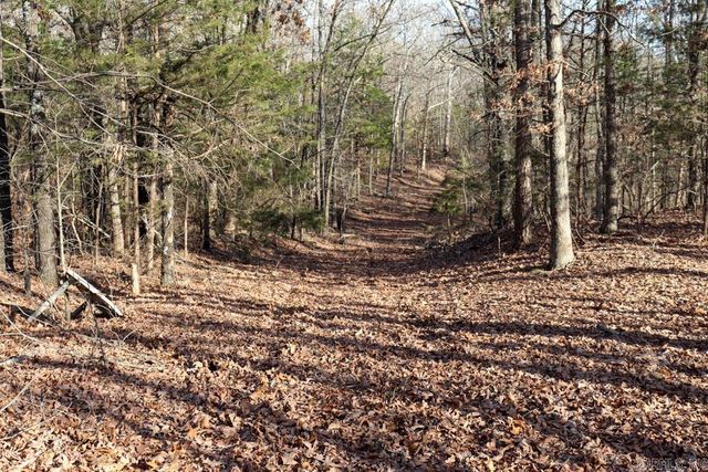 9238 Elizabeth Road, Viola, AR 72583