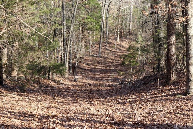 9238 Elizabeth Road, Viola, AR 72583