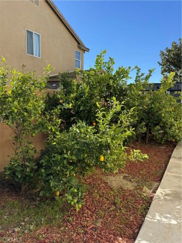 7056 Calina, Eastvale, CA 92880