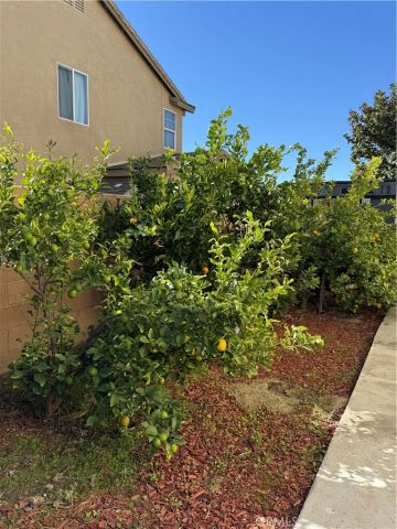 7056 Calina, Eastvale, CA 92880