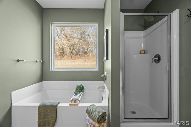 1561 Timber Wolf Drive, Festus, MO 63028