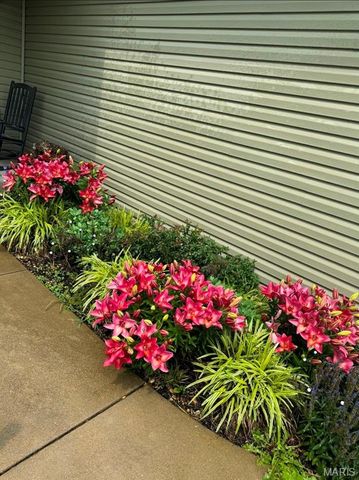 1561 Timber Wolf Drive, Festus, MO 63028