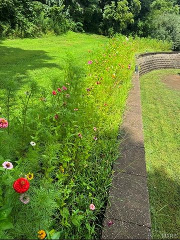 1561 Timber Wolf Drive, Festus, MO 63028