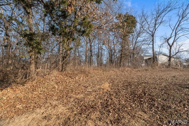 1561 Timber Wolf Drive, Festus, MO 63028