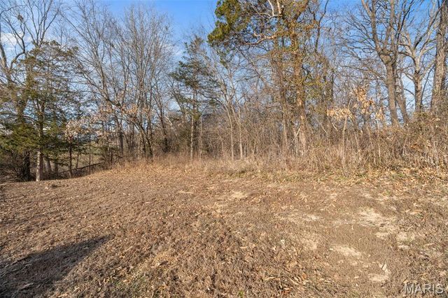 1561 Timber Wolf Drive, Festus, MO 63028