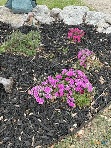 3010 Legend Oaks Boulevard, Belton, TX 76513