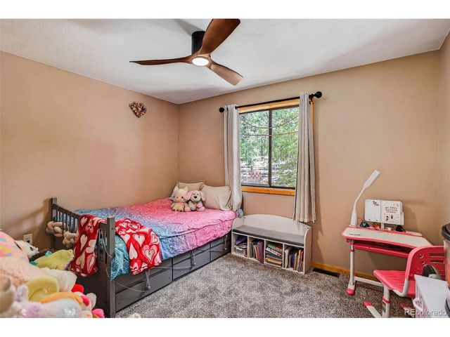 858 Forest Dr, Bailey, CO 80421