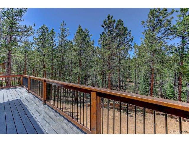 858 Forest Dr, Bailey, CO 80421