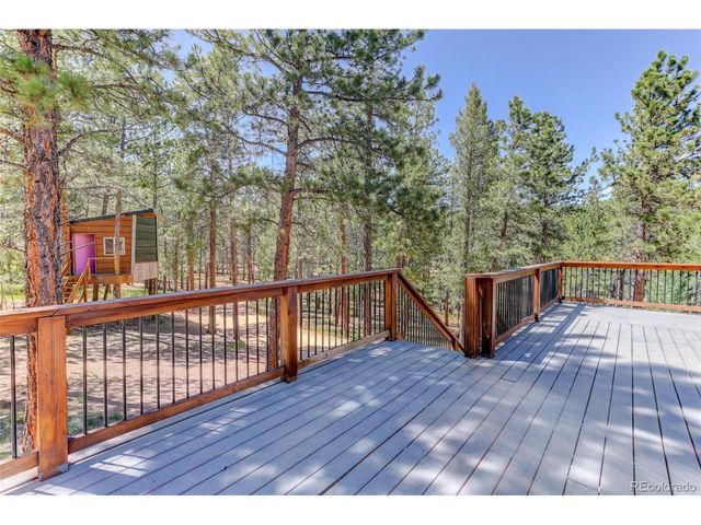 858 Forest Dr, Bailey, CO 80421