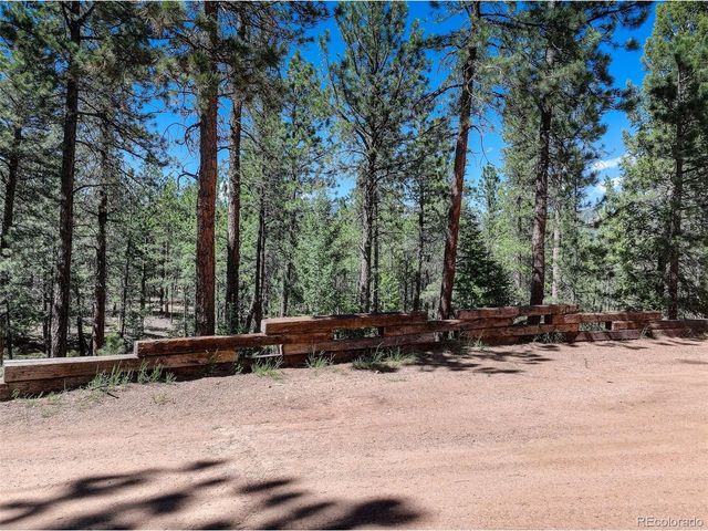 858 Forest Dr, Bailey, CO 80421