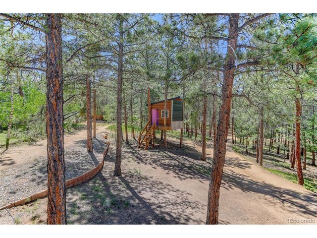 858 Forest Dr, Bailey, CO 80421