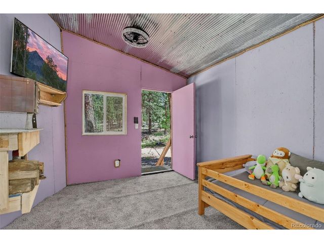 858 Forest Dr, Bailey, CO 80421