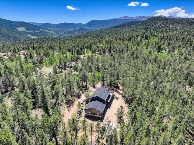 858 Forest Dr, Bailey, CO 80421