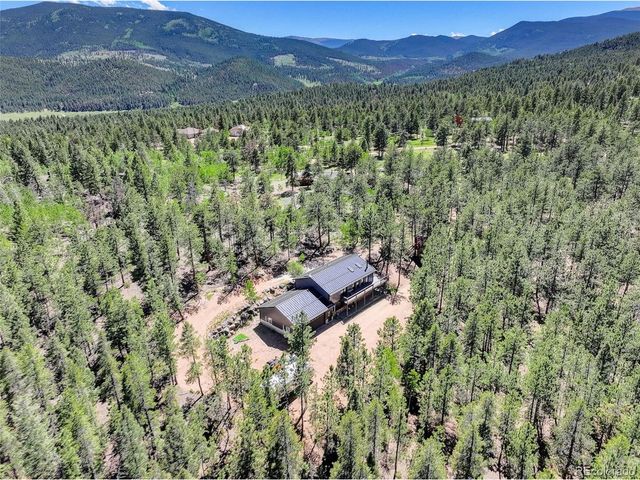 858 Forest Dr, Bailey, CO 80421