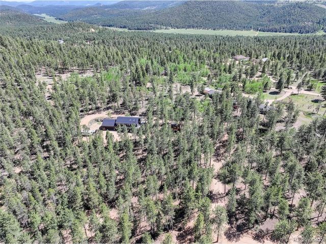 858 Forest Dr, Bailey, CO 80421