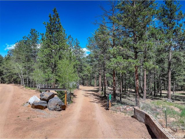 858 Forest Dr, Bailey, CO 80421