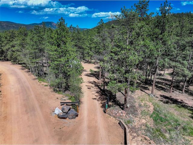 858 Forest Dr, Bailey, CO 80421