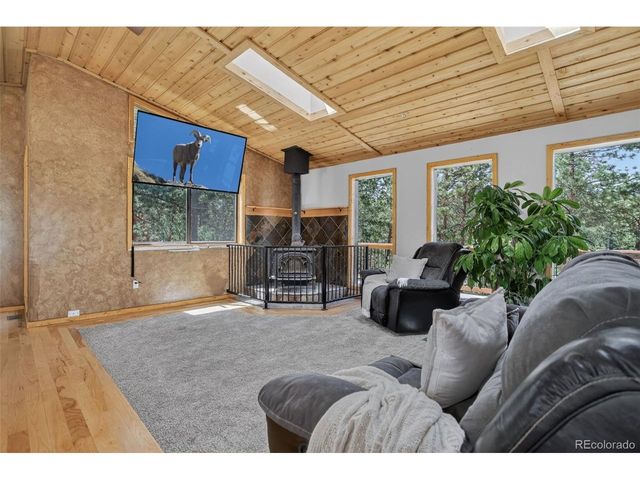 858 Forest Dr, Bailey, CO 80421