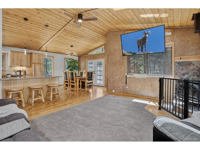 858 Forest Dr, Bailey, CO 80421