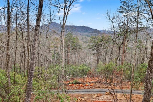 441 Summer Ln, Clayton, GA 30525