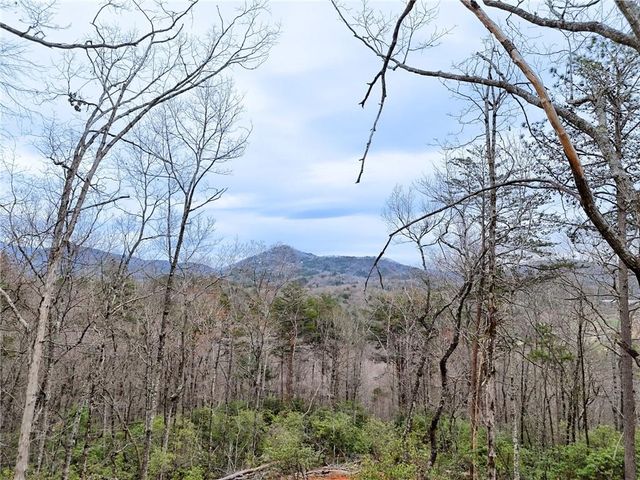 441 Summer Ln, Clayton, GA 30525