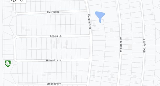 TBD Honeylocust Lane, Plantersville, TX 77363