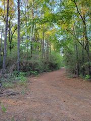 TBD Honeylocust Lane, Plantersville, TX 77363