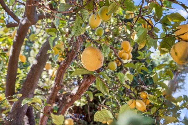 922 Olympia Avenue Avenue, Ventura, CA 93004