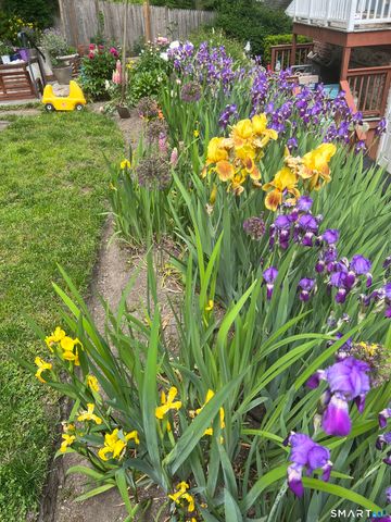 5 Halliwell Drive, Stamford, CT 06902