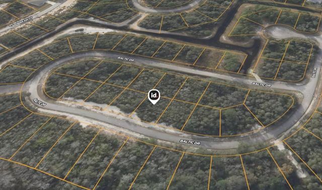 1238 BALTIC DRIVE, Kissimmee, FL 34759