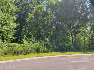 Lot 5 Sugar Maple Court, Madisonville, TN 37354