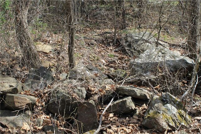 13184 Cove Creek North Road, Prairie Grove, AR 72753