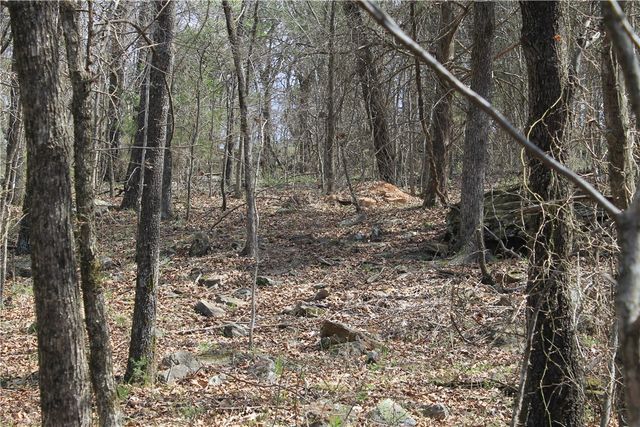 13184 Cove Creek North Road, Prairie Grove, AR 72753