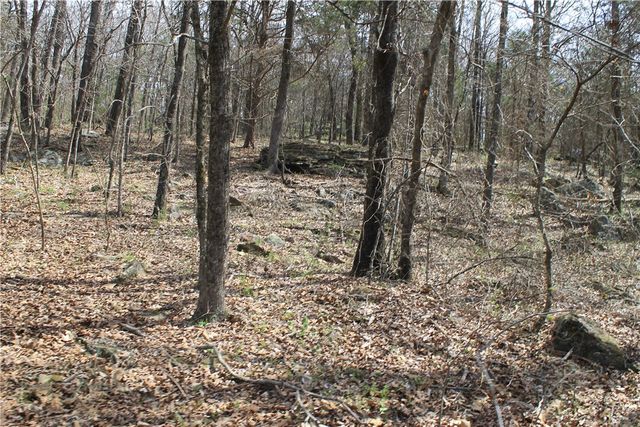 13184 Cove Creek North Road, Prairie Grove, AR 72753