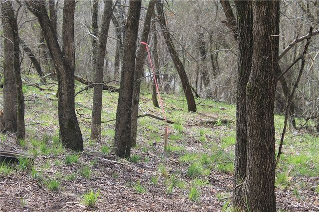 13184 Cove Creek North Road, Prairie Grove, AR 72753