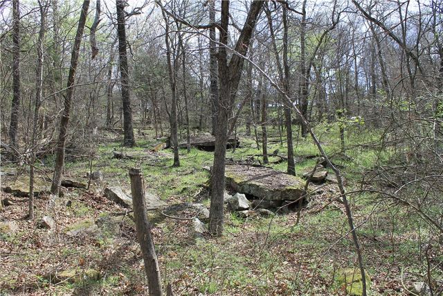 13184 Cove Creek North Road, Prairie Grove, AR 72753