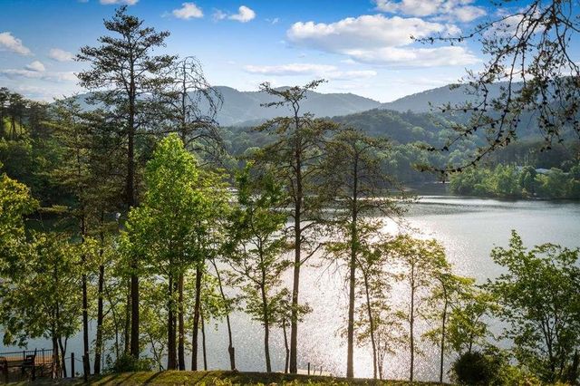 100 Lakeview Drive, Turtletown, TN 37391