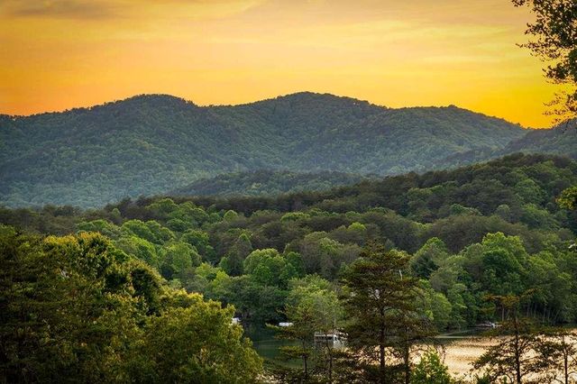 100 Lakeview Drive, Turtletown, TN 37391