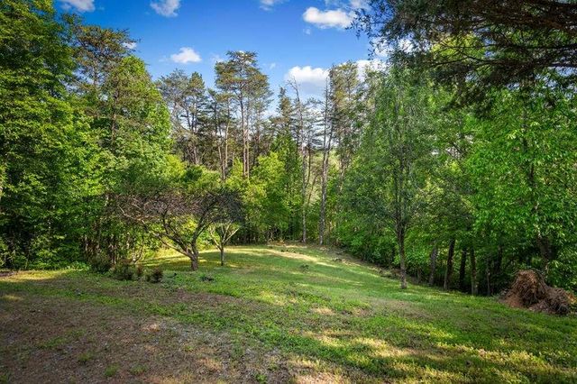 100 Lakeview Drive, Turtletown, TN 37391