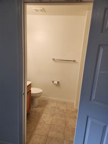 1411 S MARY STREET, Eustis, FL 32726