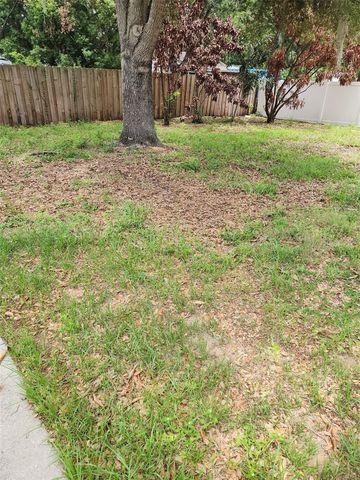 1411 S MARY STREET, Eustis, FL 32726