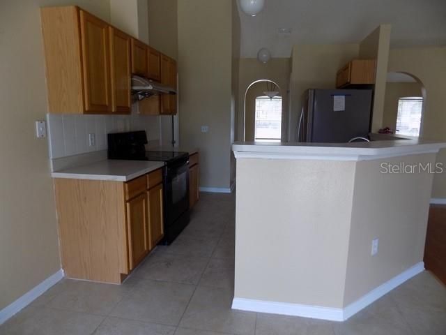 1411 S MARY STREET, Eustis, FL 32726