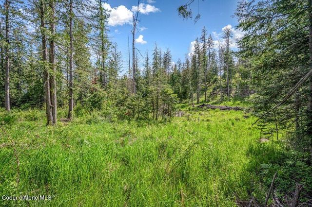 NNA Oleander Dr., Lot 1, Sandpoint, ID 83864