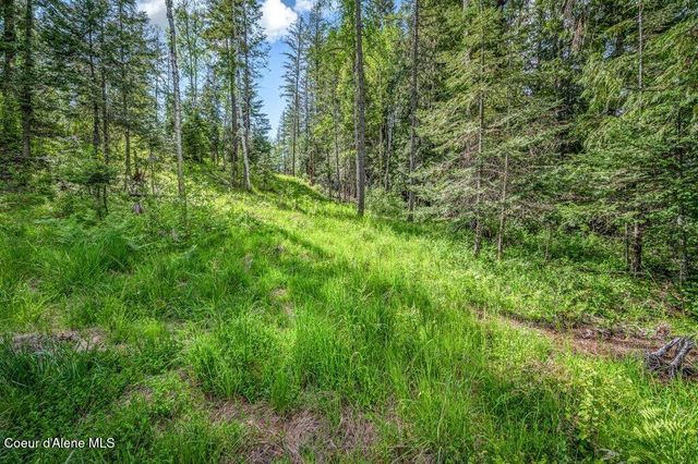 NNA Oleander Dr., Lot 1, Sandpoint, ID 83864