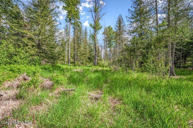 NNA Oleander Dr., Lot 1, Sandpoint, ID 83864