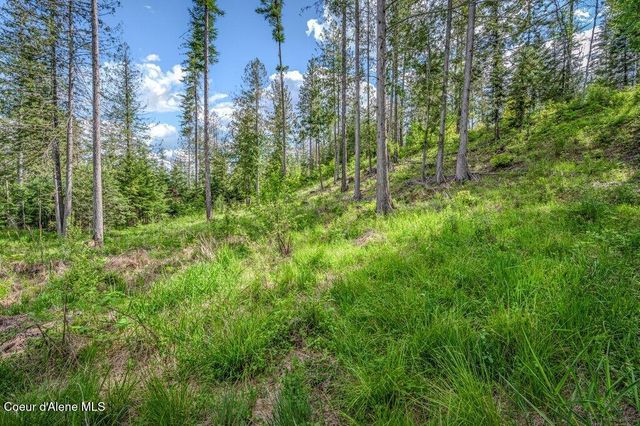 NNA Oleander Dr., Lot 1, Sandpoint, ID 83864