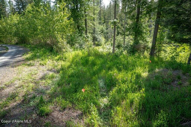 NNA Oleander Dr., Lot 1, Sandpoint, ID 83864