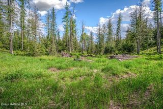 NNA Oleander Dr., Lot 1, Sandpoint, ID 83864